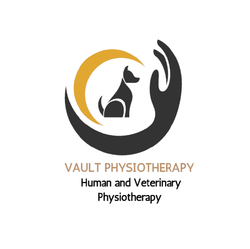 Vault Physiotherapy